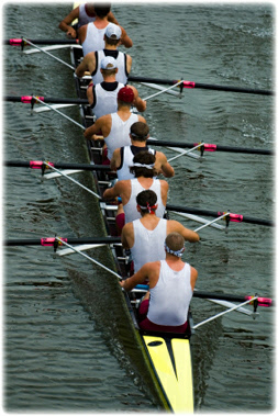 Propheo promotes teamwork