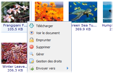 Gestion des documents